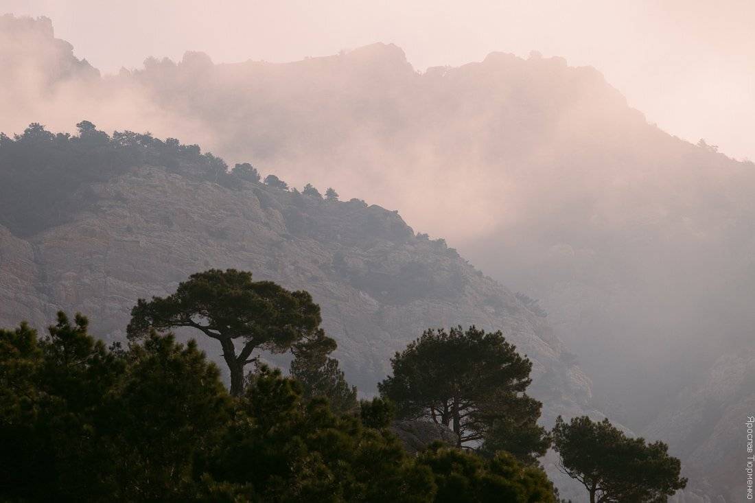 , Ярослав Тюрменко (Jaremi)