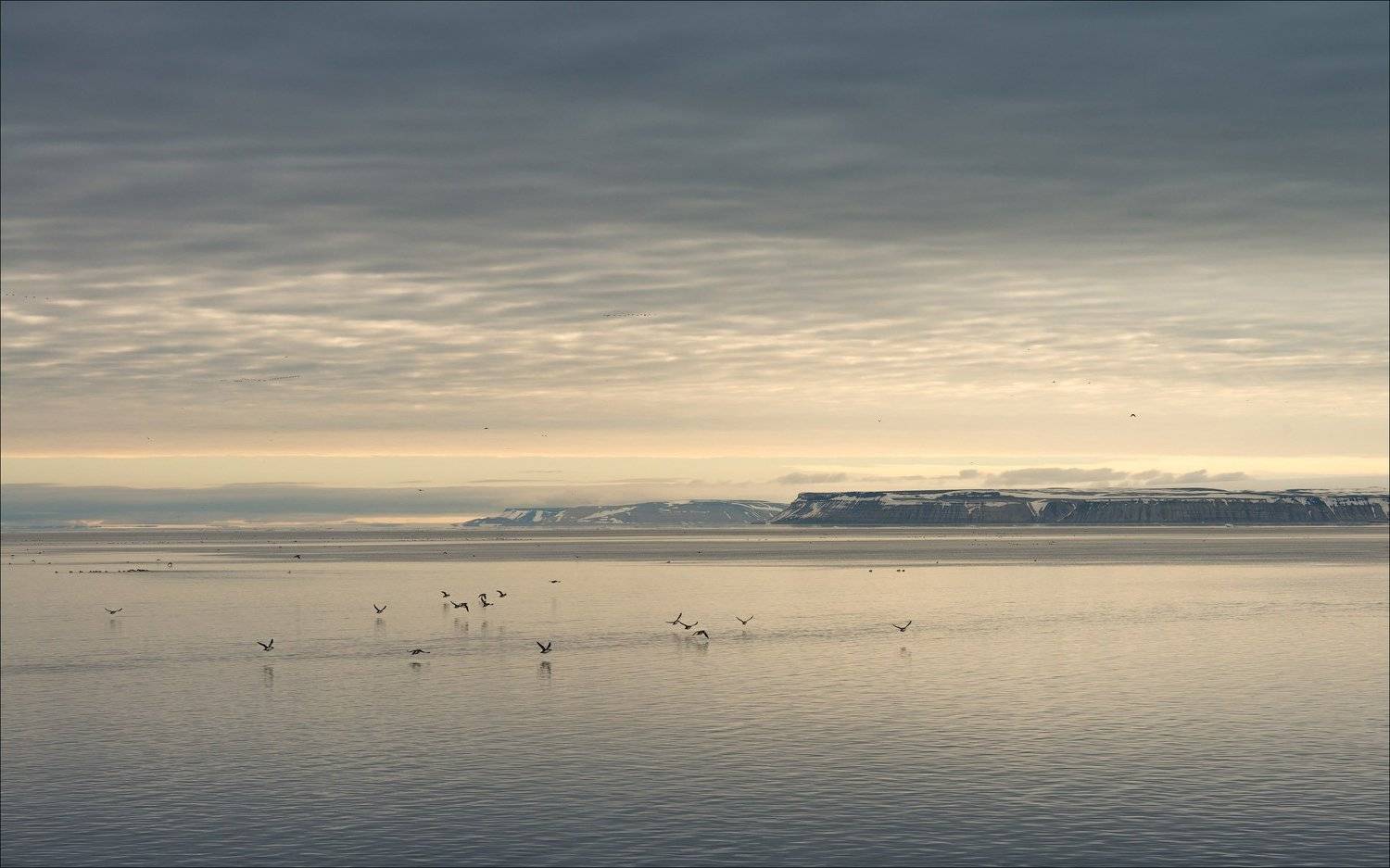 , Майк Рейфман