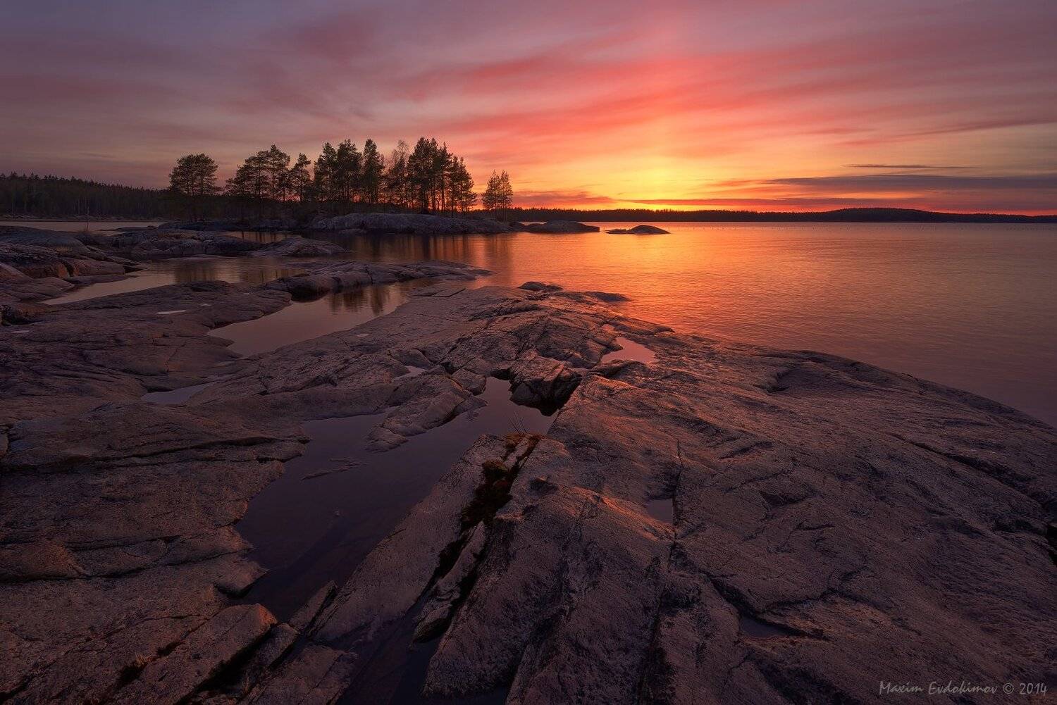 , Максим Евдокимов