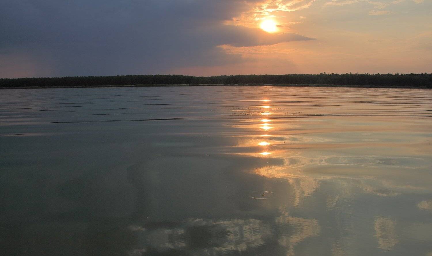 , Павел Дунюшкин