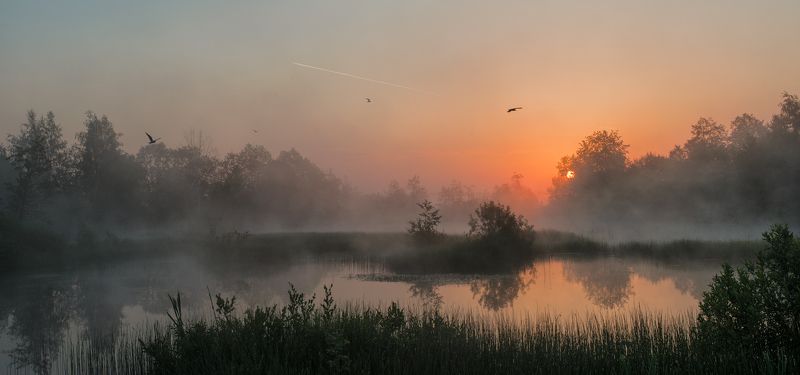 Утро чаек фото превью