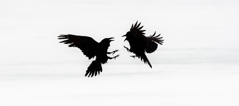 кляксы фото превью