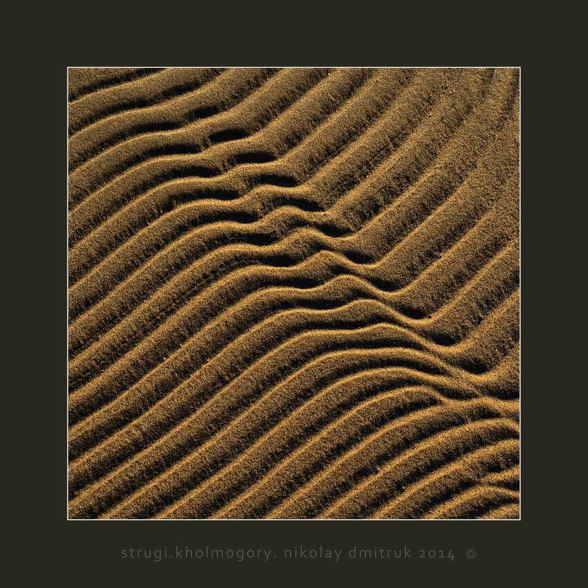 , николай дмитрук