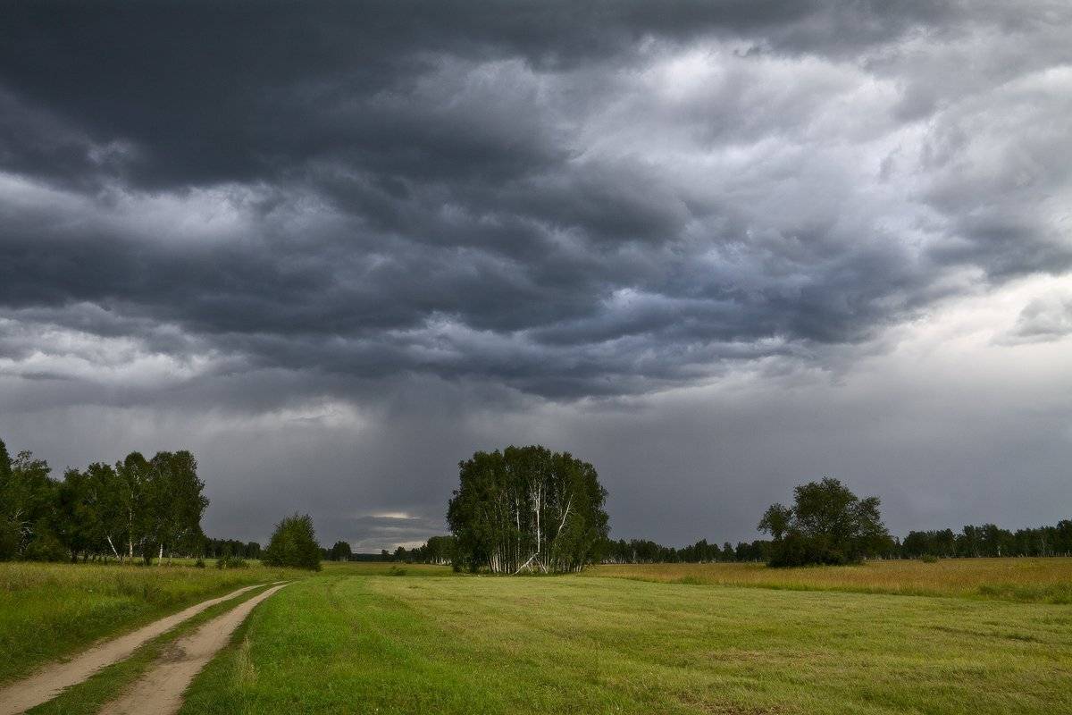 , Николай Морский