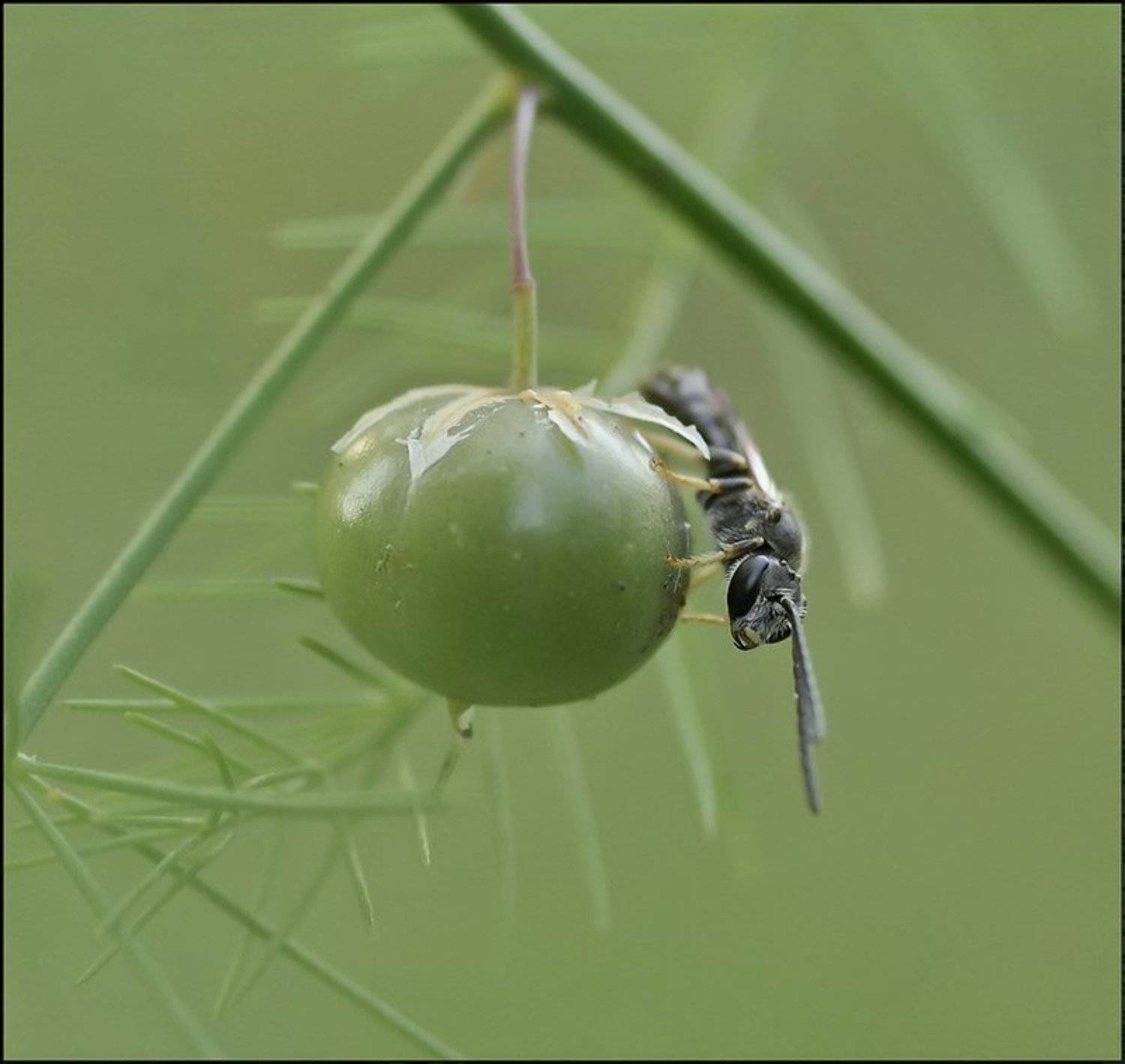 , Андрей Осокин