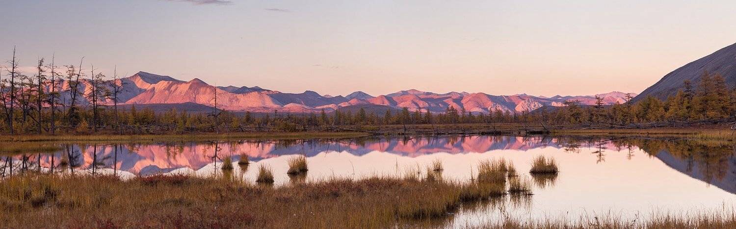 Болото, Закат, Индигирка, Казгинский хребет, Кочкарник, Лиственница, Момский улус, Хребет черского, Чибагалах, Якутия, Кирилл Уютнов