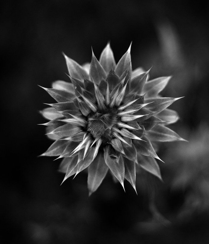 ... фото превью