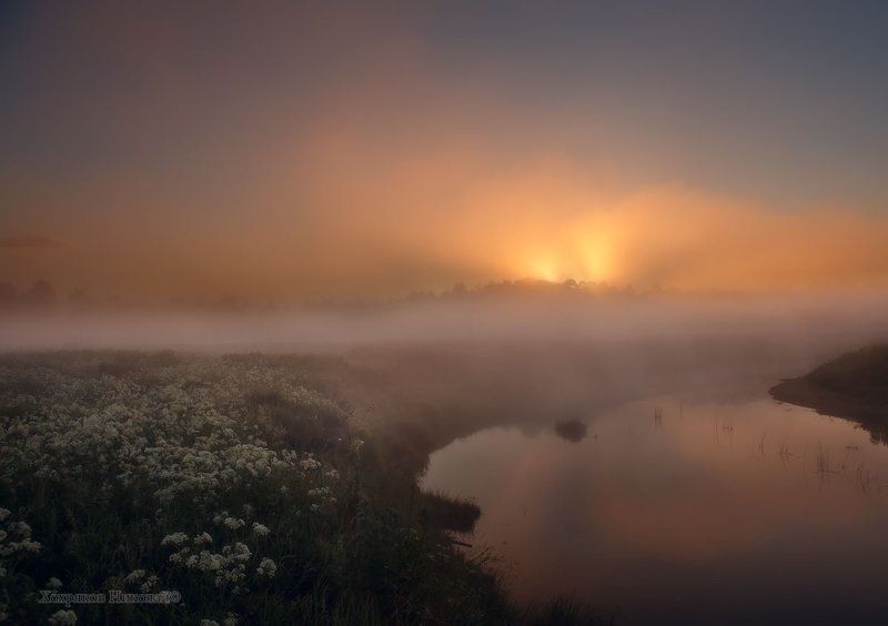 туманновсходящее... фото превью
