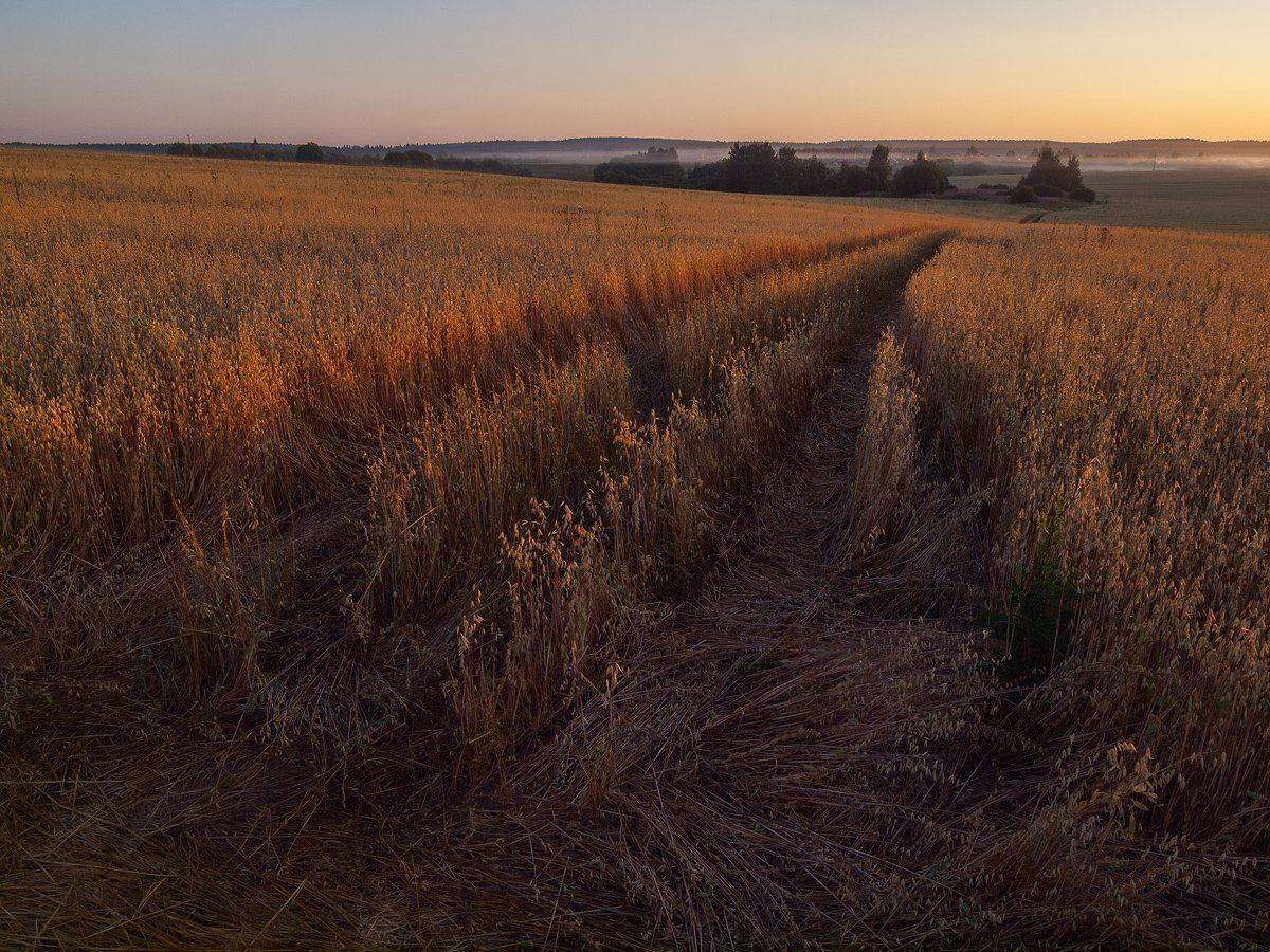 , Владимир Перепечаев