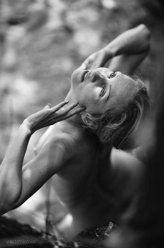 серебро фото превью