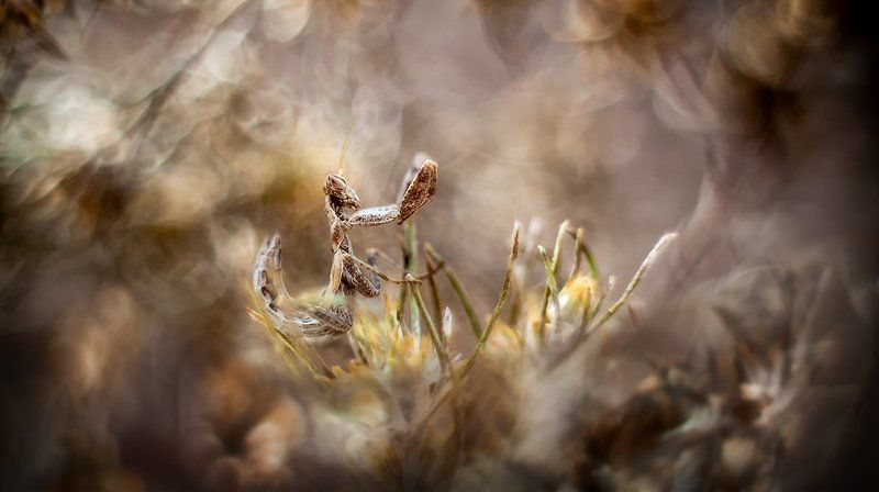 Холодное лето. фото превью