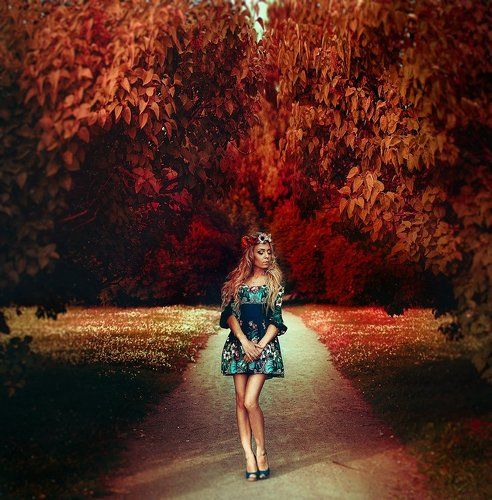 Марсово поле