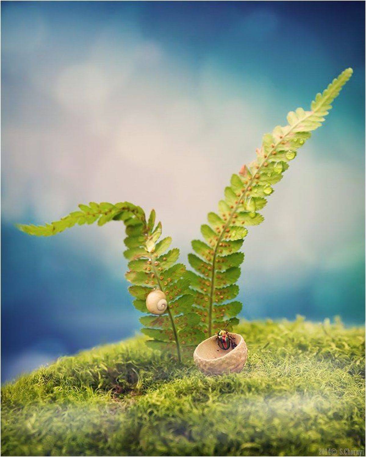 , Александр Чорный