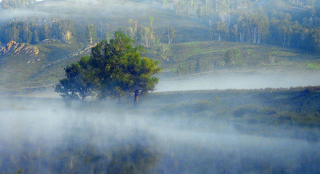 туман, Качурин Алексей