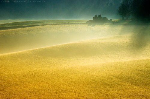 Gold sown