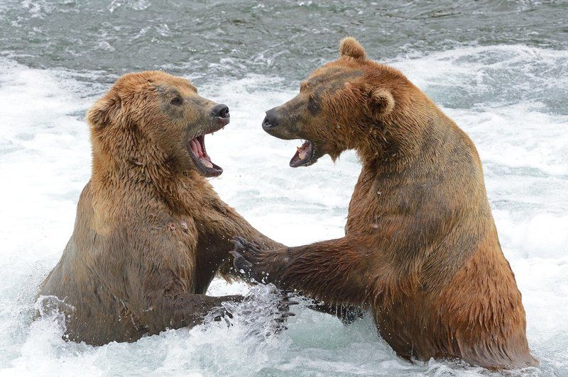 Непростой разговор фото превью