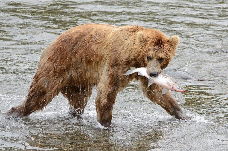 С рыбалки фото превью