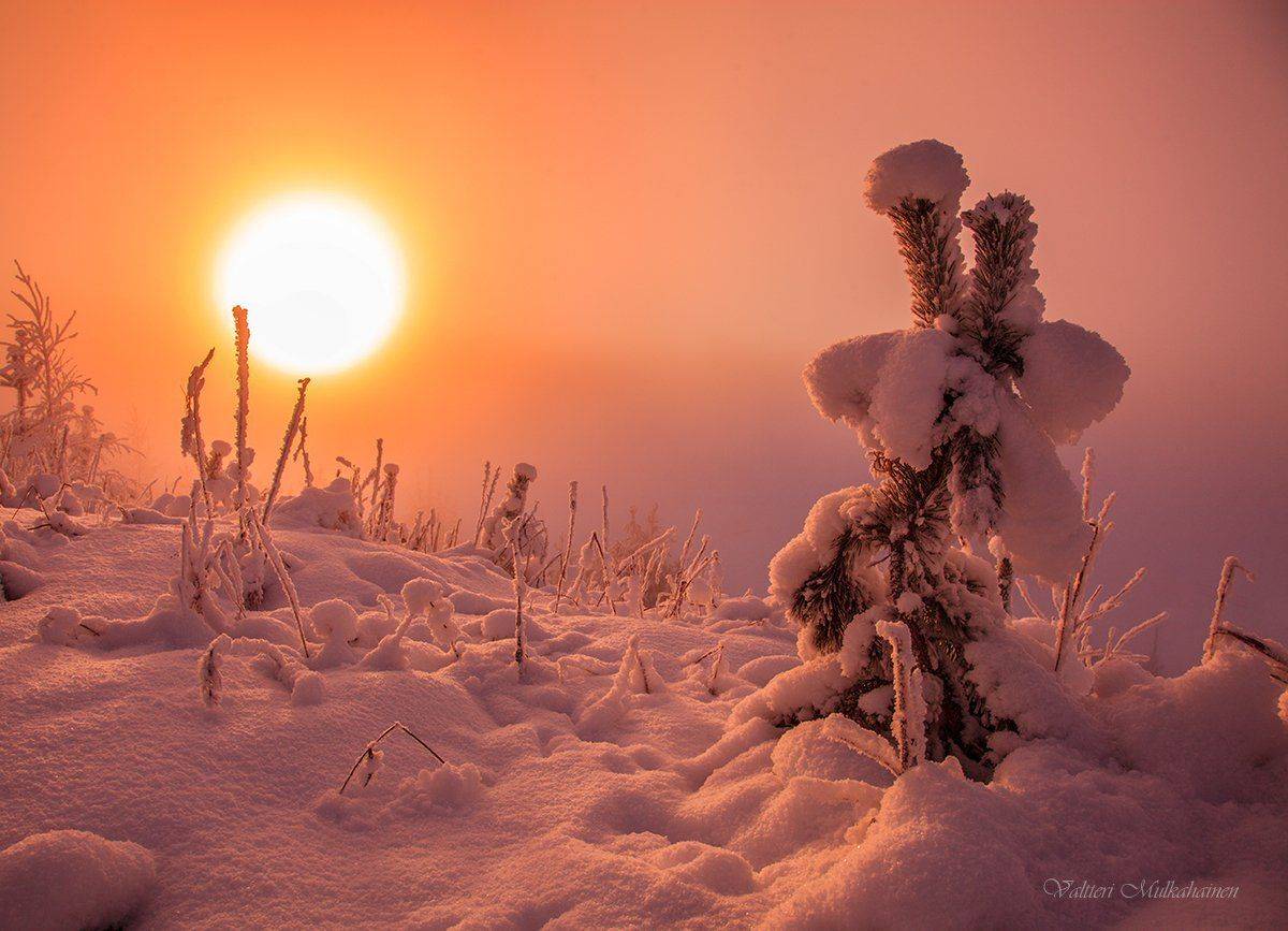 , Valtteri Mulkahainen