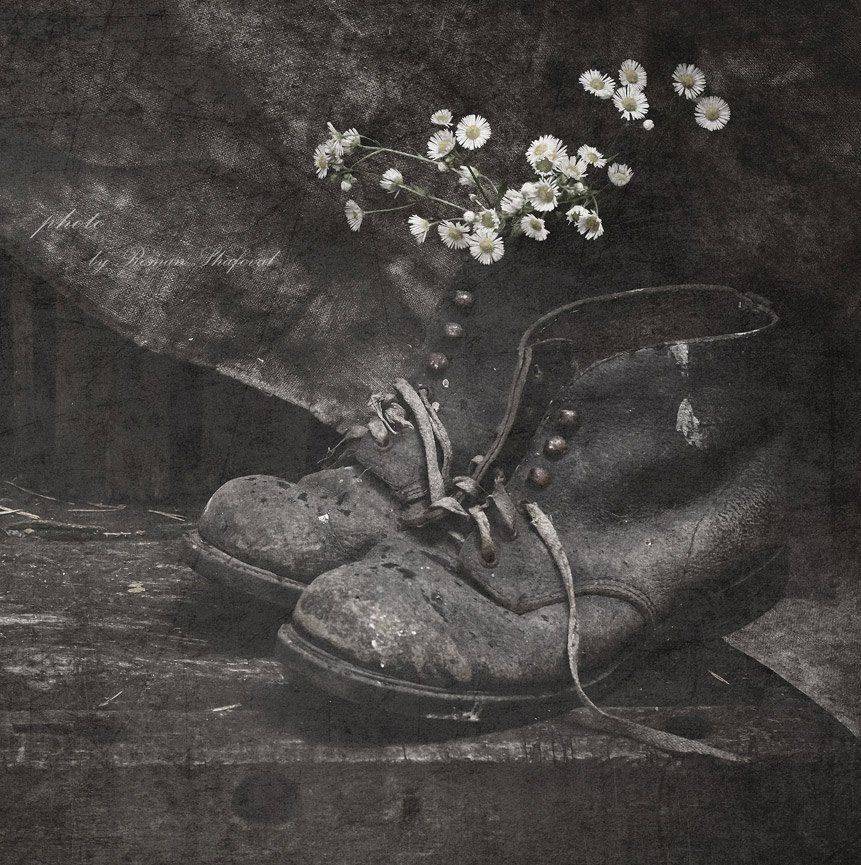 Ботинки, Натюрморт, Ромашки, Роман
