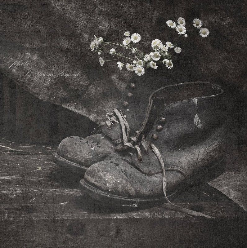 Ботинки, Натюрморт, Ромашки с ромашками... фото превью