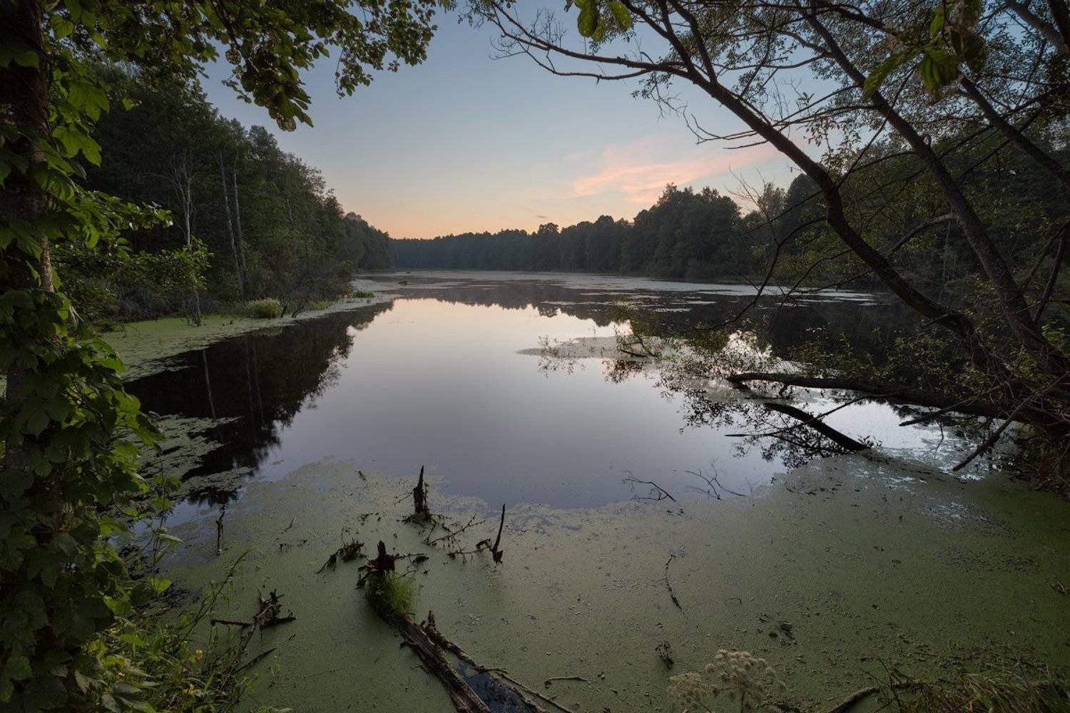 , Игорь Иванов