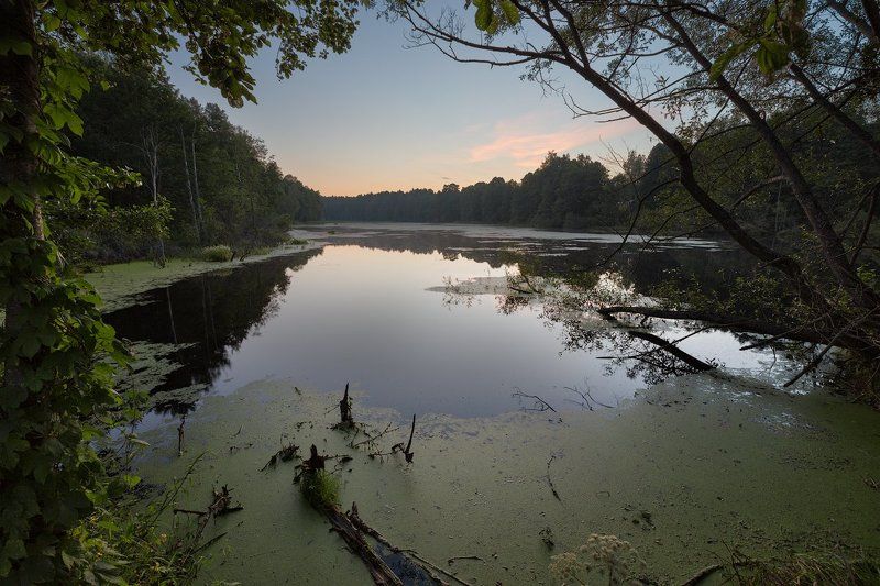 На болоте фото превью