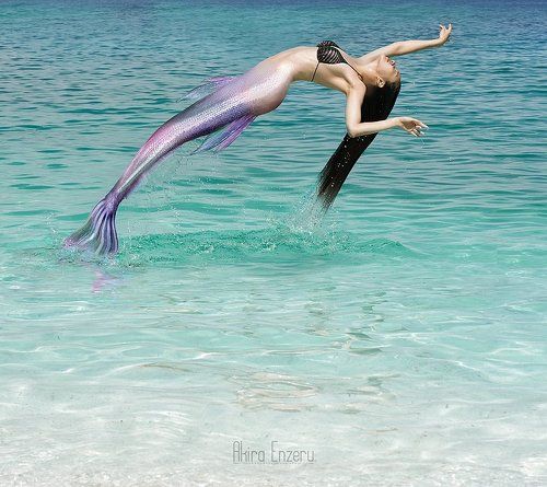 The mermaid