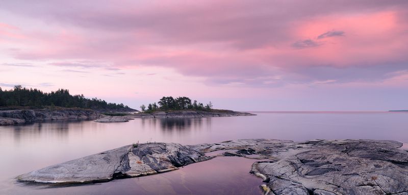 Гадкий утенок фото превью