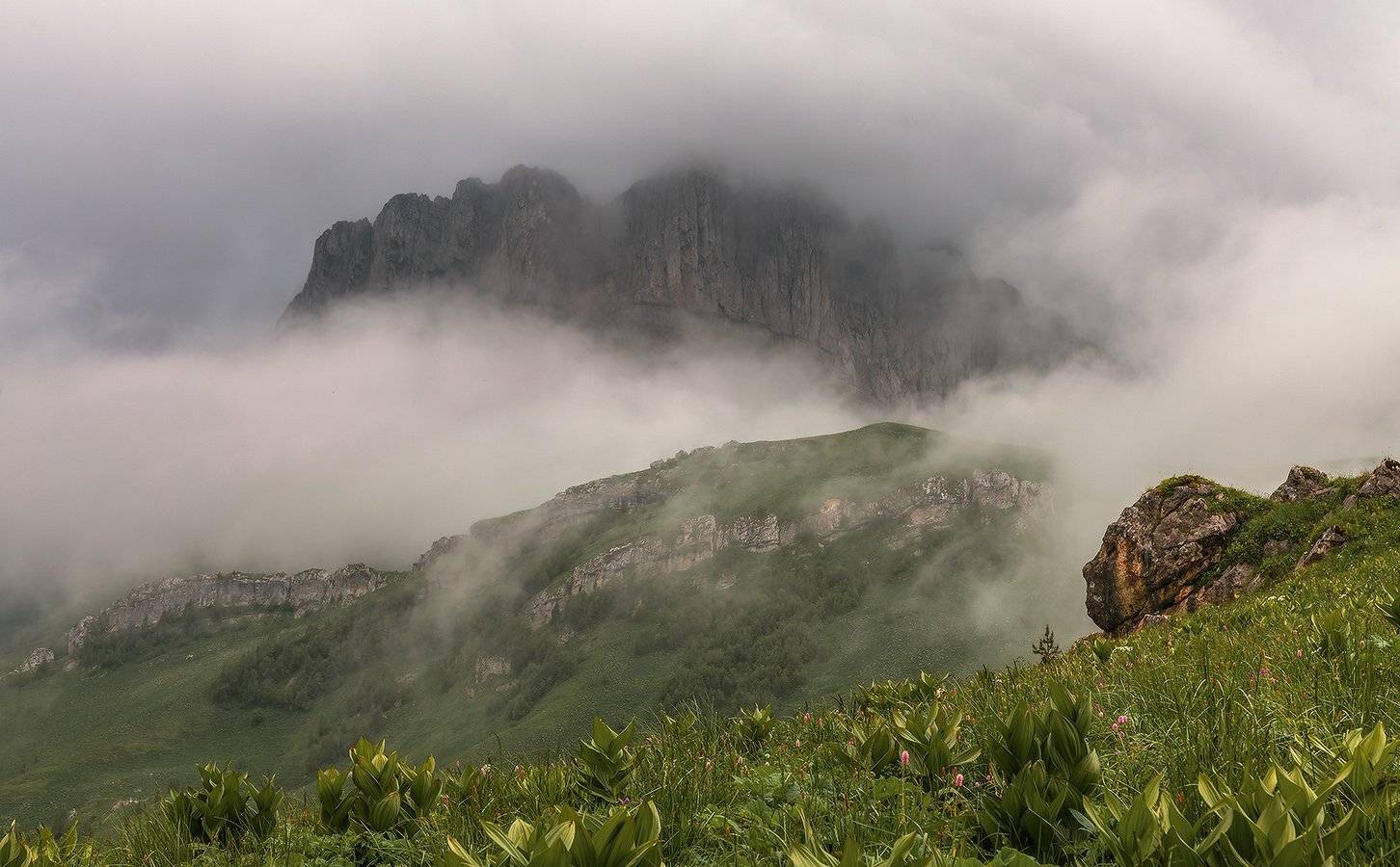 западный, кавказ, ачешбок, июнь, банька, Николай Мысливцев
