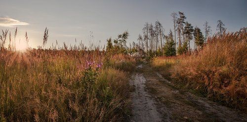В краю далёком