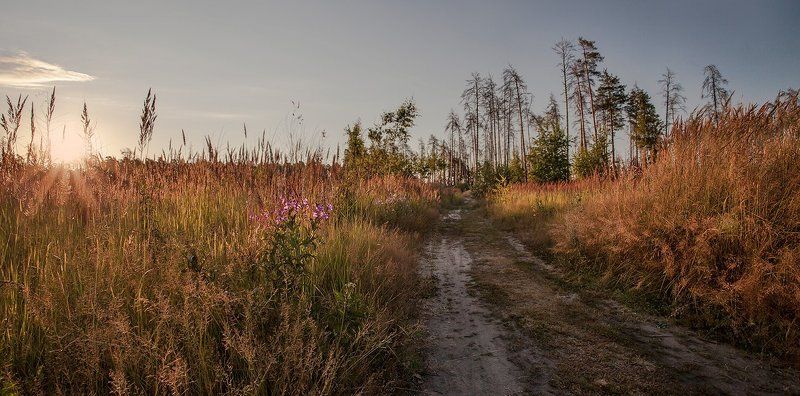 купавна, подмосковье. В краю далёком фото превью