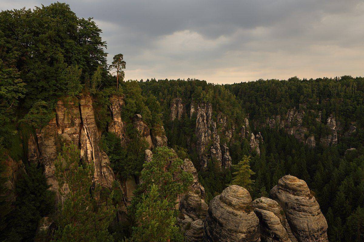 , Игорь Дубровский