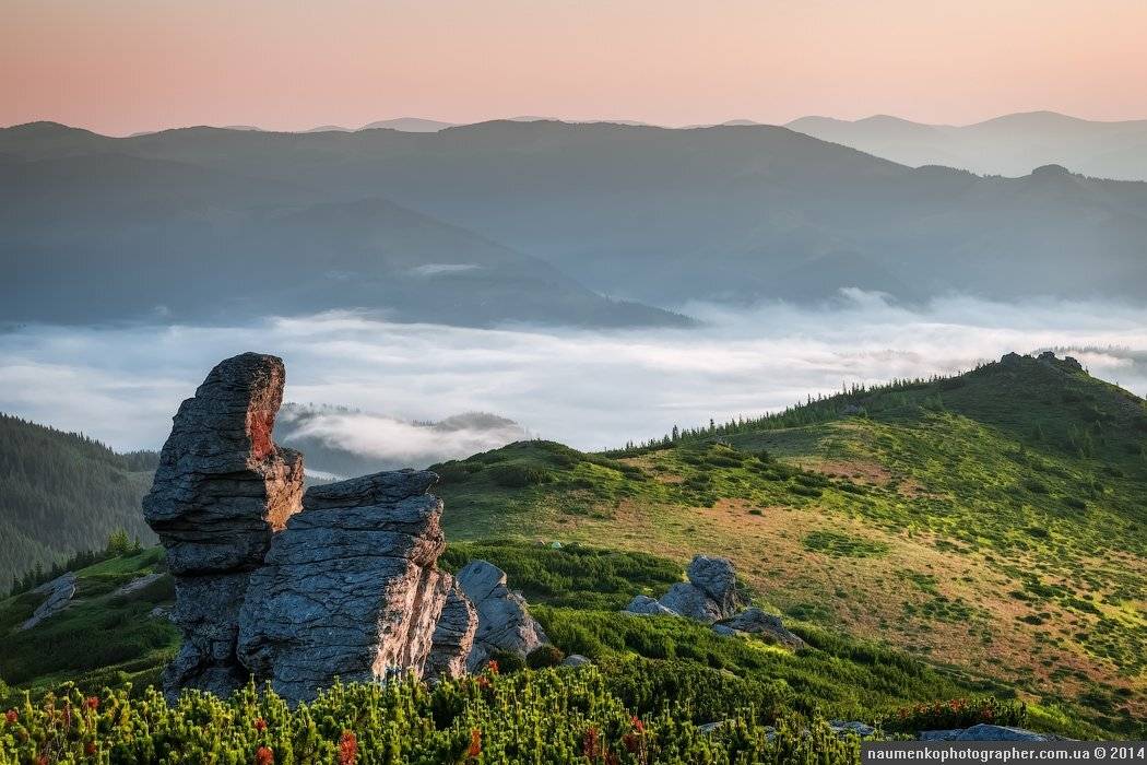 , Александр