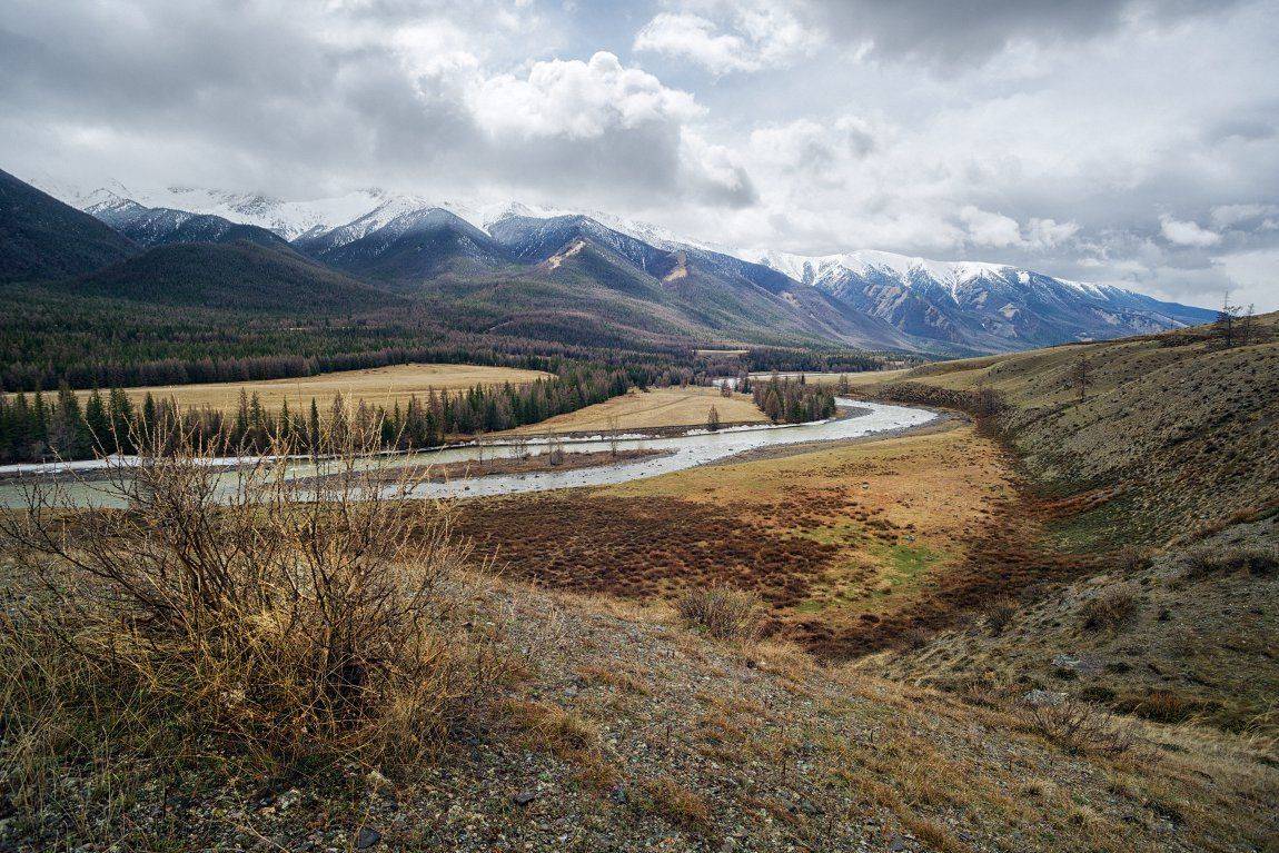 , Николай Ляпин