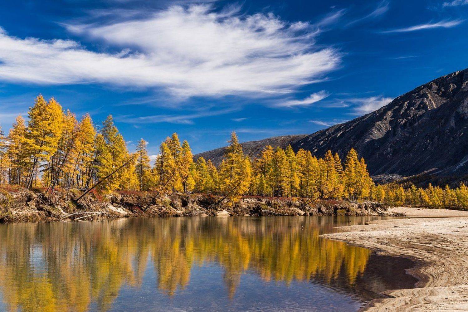 Кенилибит, Лиственница, Осень, Отражение, Тобандя-сиенэ, Хребет черского, Чибагалах, Якутия, Кирилл Уютнов