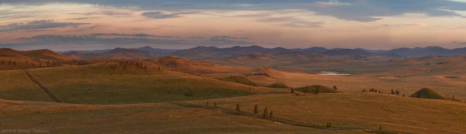 , Алексей Трофимов