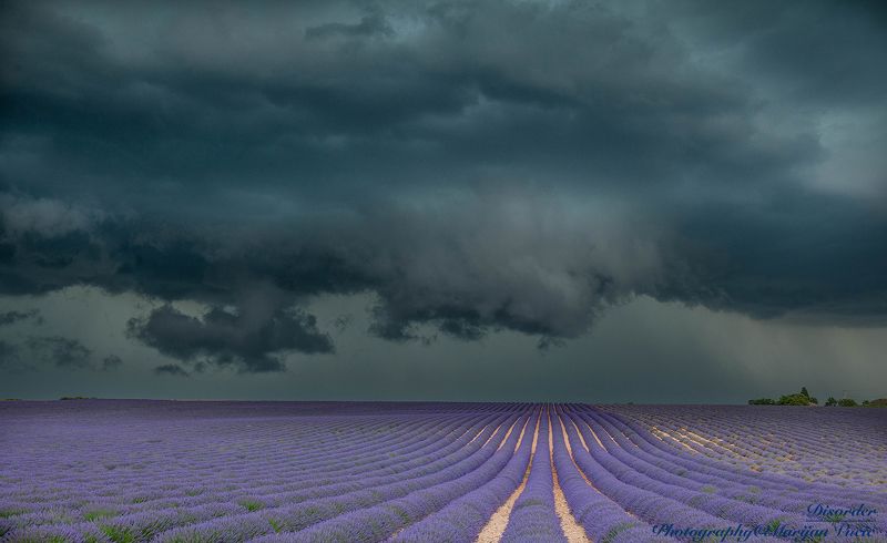 Olovno фото превью