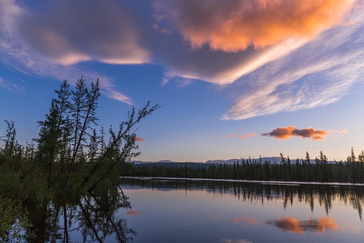 Весна, Дюпкун, Красноярский край, Курейка, Лиственница, Облака, Подсветка, Полярный день, Путорана, Кирилл Уютнов