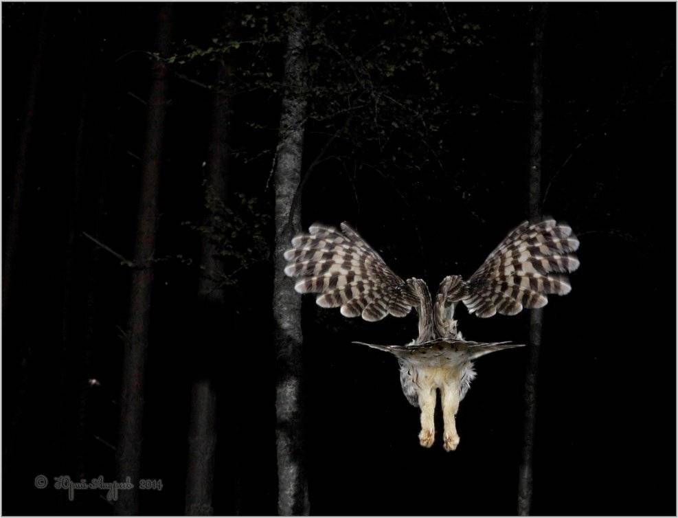 , Юрий Андреев