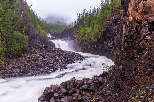 Рожденный в тумане