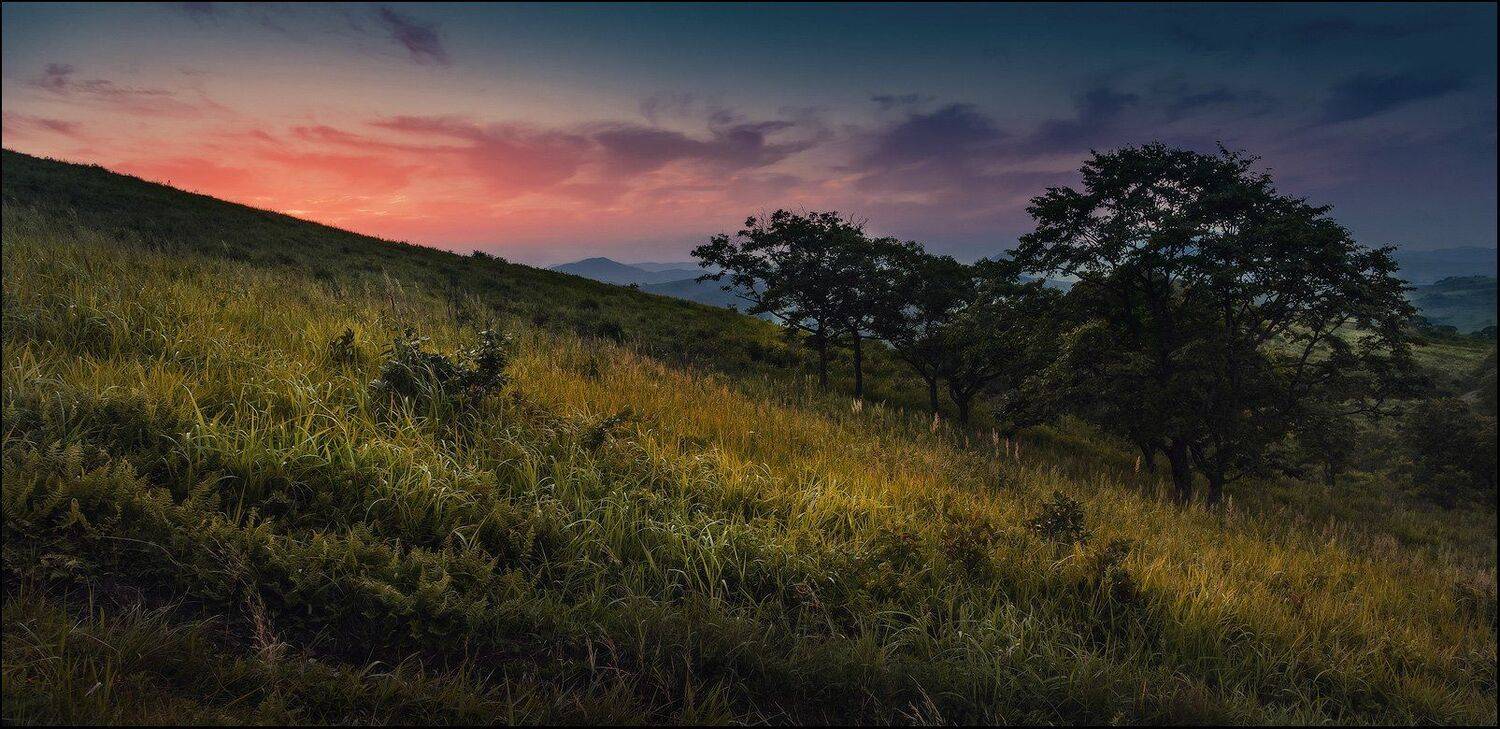 , Андрей Кровлин