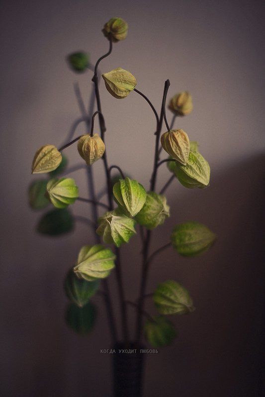 Когда уходит любовь фото превью