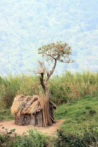Хижина в Уганде