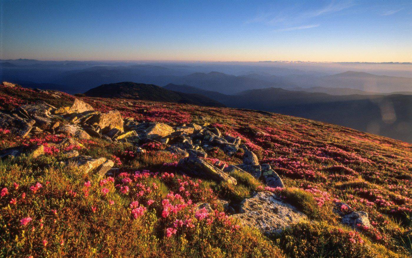 , Ярослав Тюрменко (Jaremi)