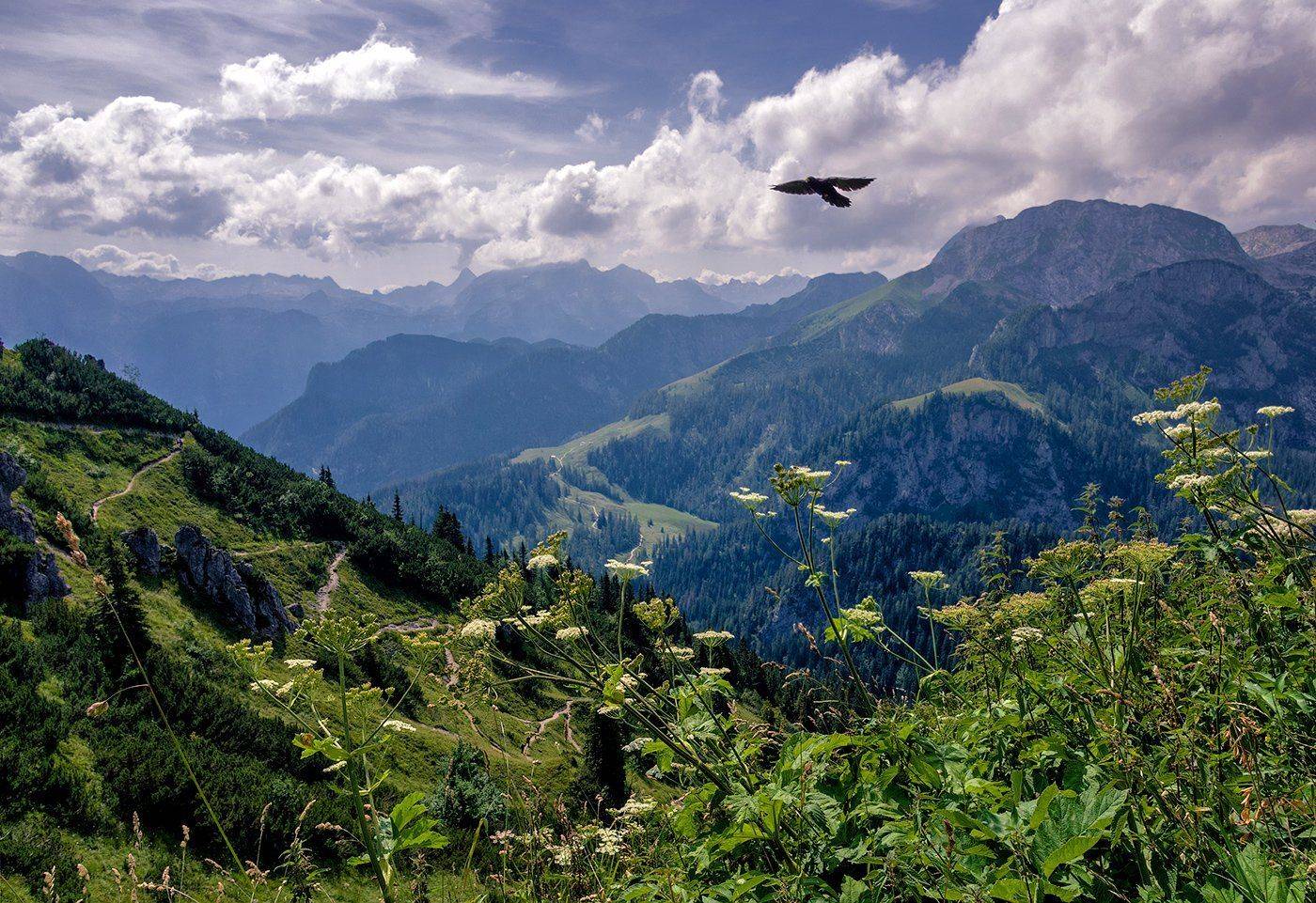 , Игорь Мелекесцев