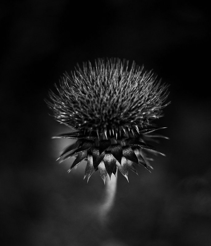 ... фото превью