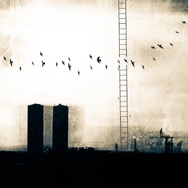 concept, conceptual, surreal, milad safabakhsh, fineart, human, ladder, birds, mono Fake world фото превью