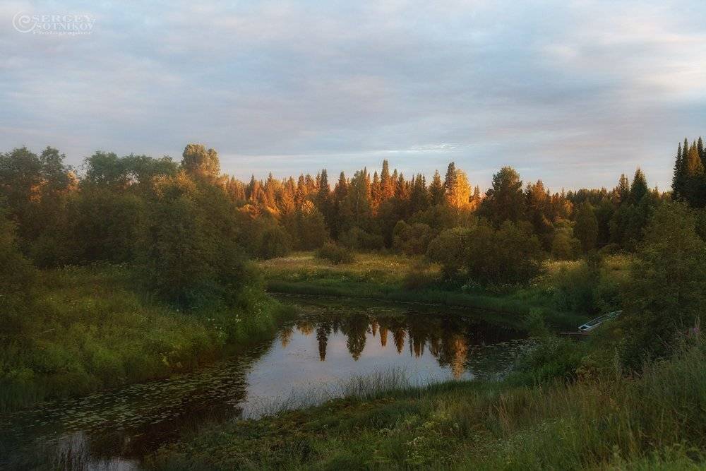 , Сергей Сотников