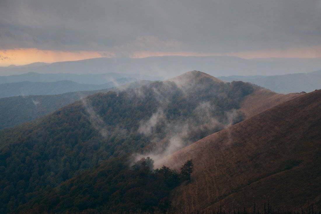 , Ярослав Тюрменко (Jaremi)