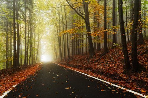 Magic Road
